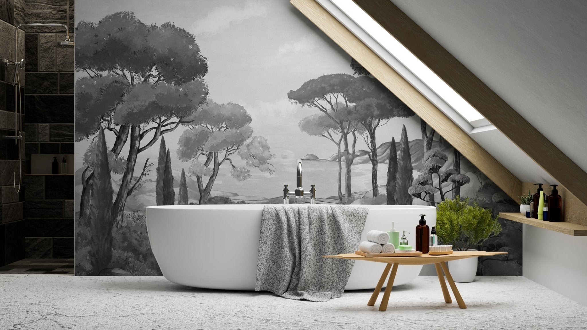 Papier peint balade dans les calanques noir et blanc, mural concept, tendance
