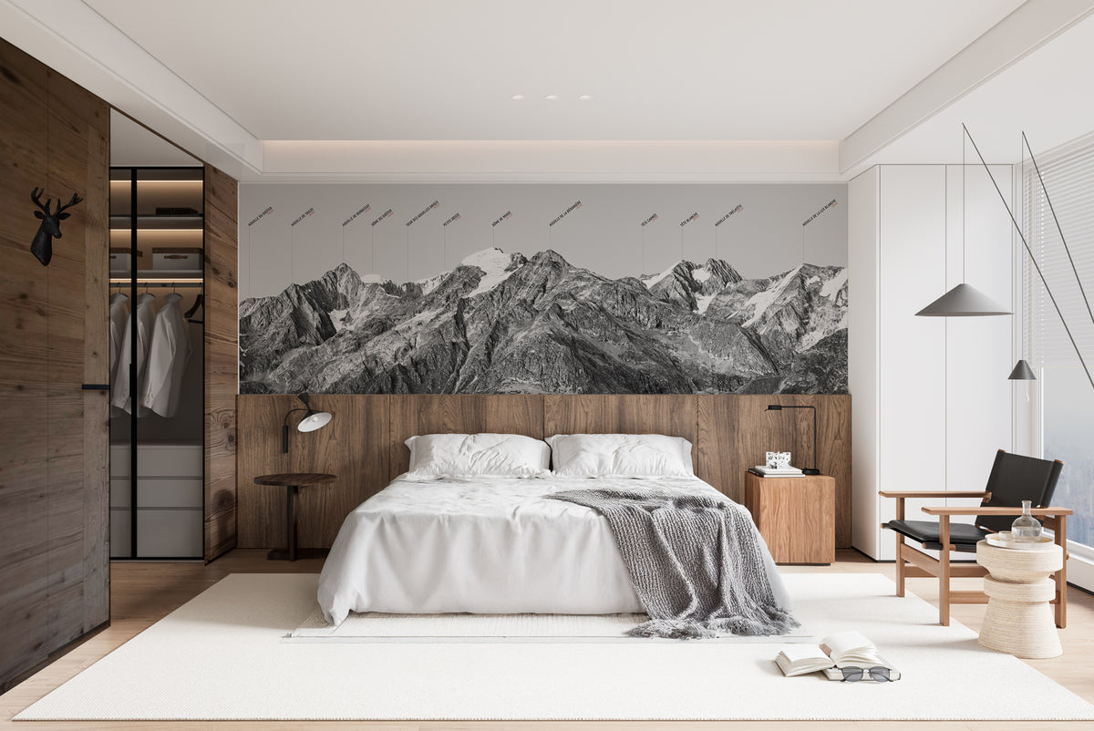 Carta da parati con cupola alpina