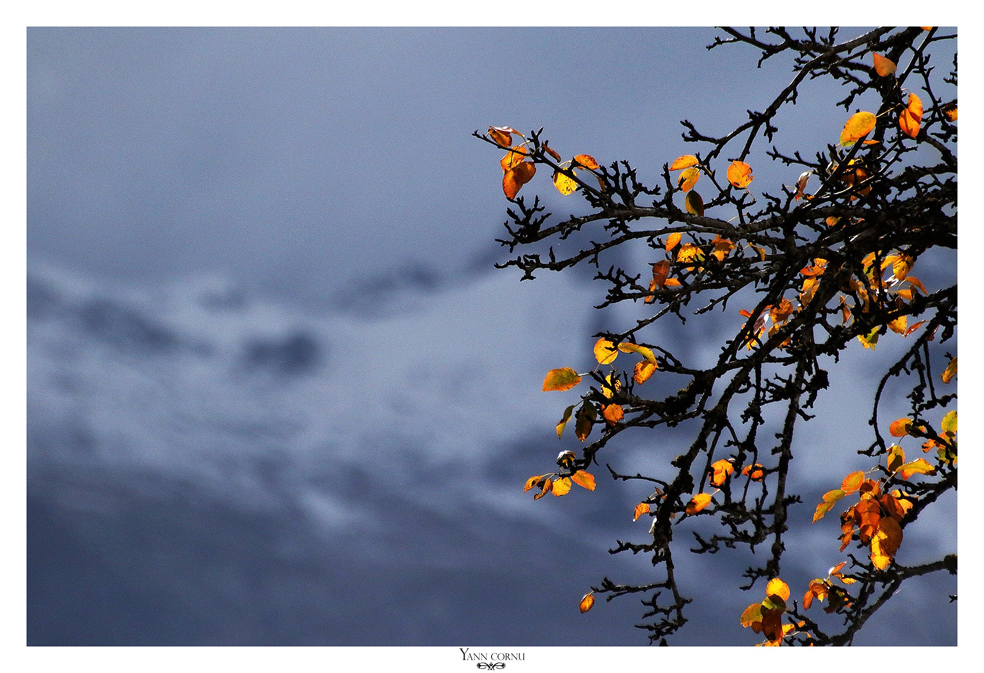 Sfondo fotografico con tocco di primavera