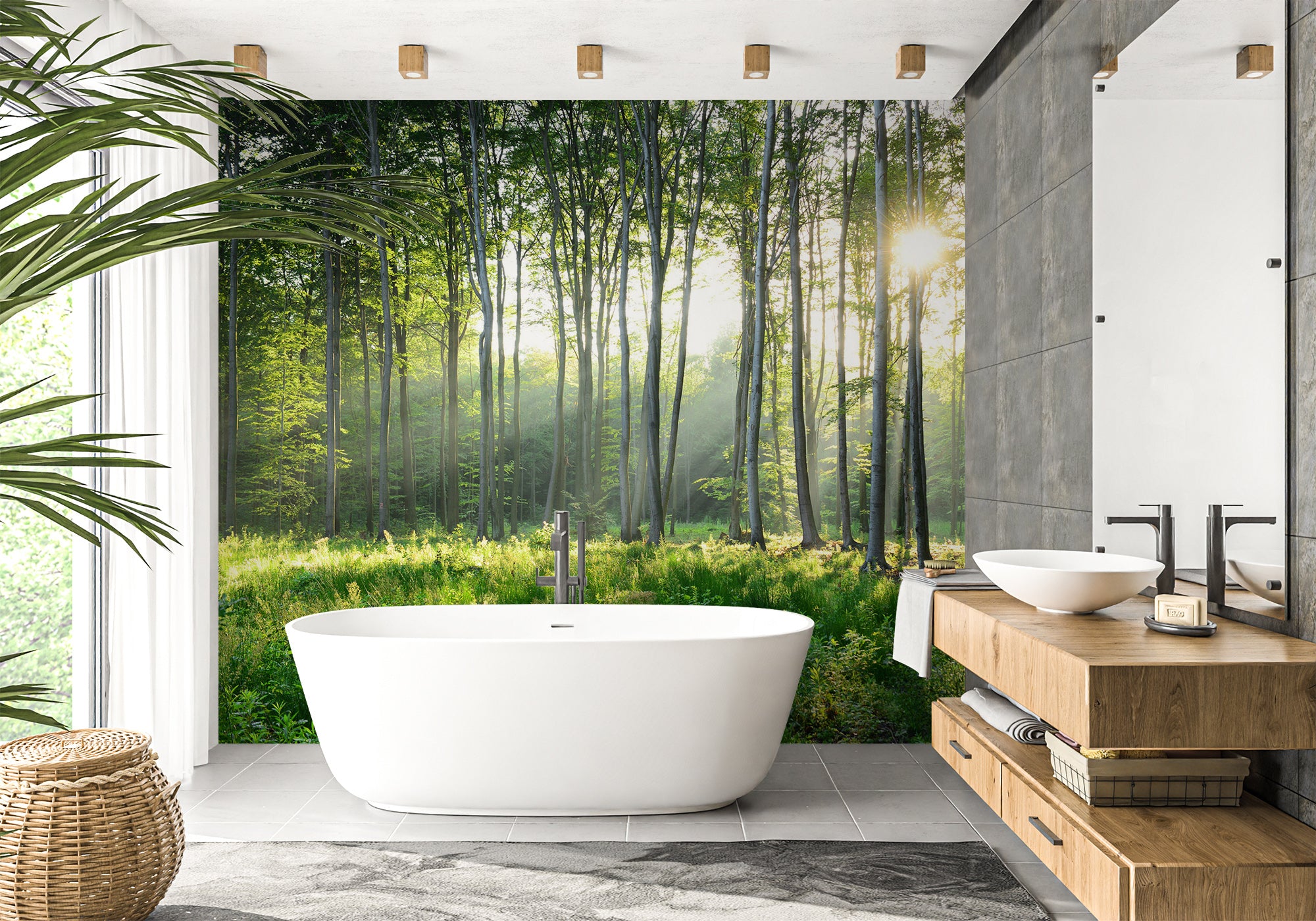 Papier peint salle de bain forêt de Pins, mural concept, tendance