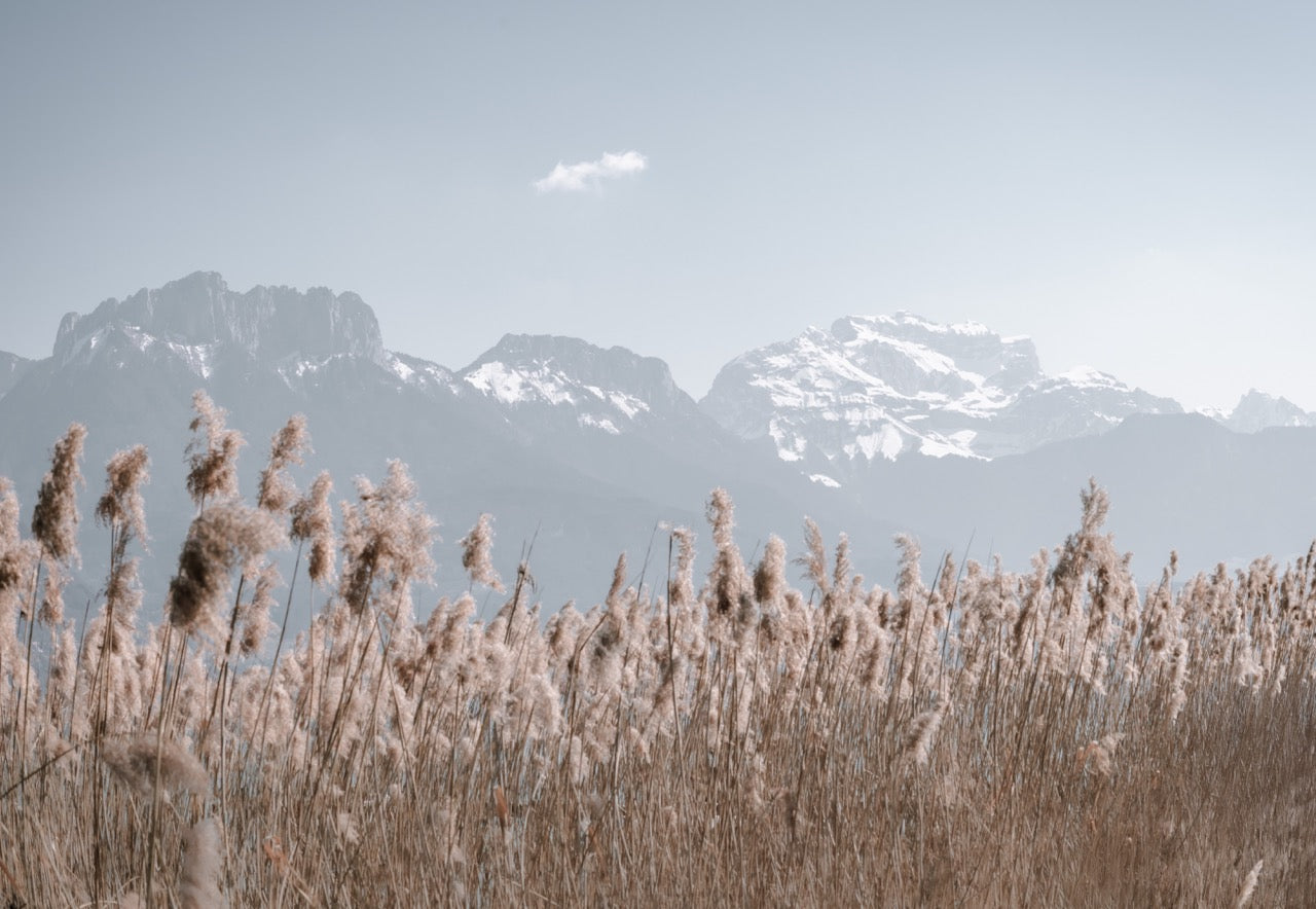 Sfondo fotografico - La Tournette e oltre