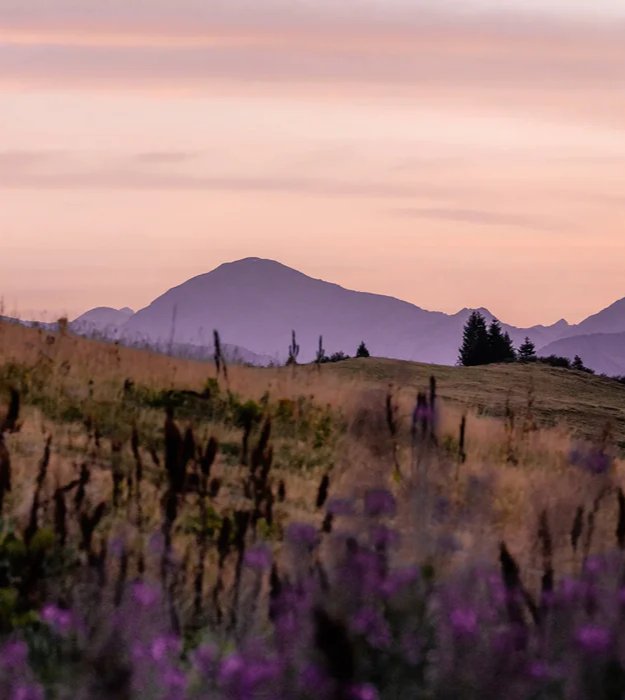 Papier peint restaurant massif du Giffre, mural concept, tendance