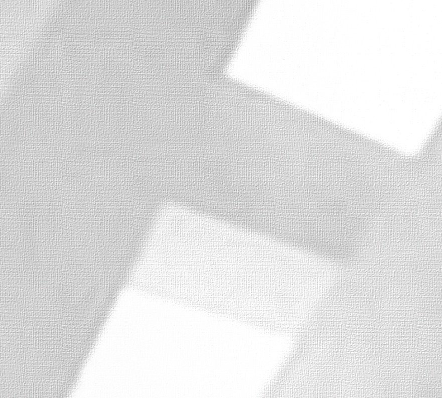 Papier peint White Wood, mural concept, tendance