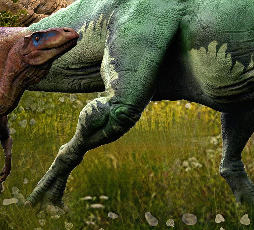 Papier peint Dinosaures 3D - papier peint sur mesure francais - muralconcept