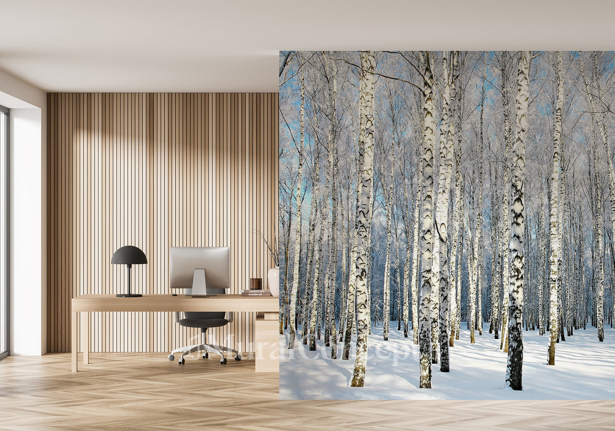 Wood Forest Birch Office Wallpaper