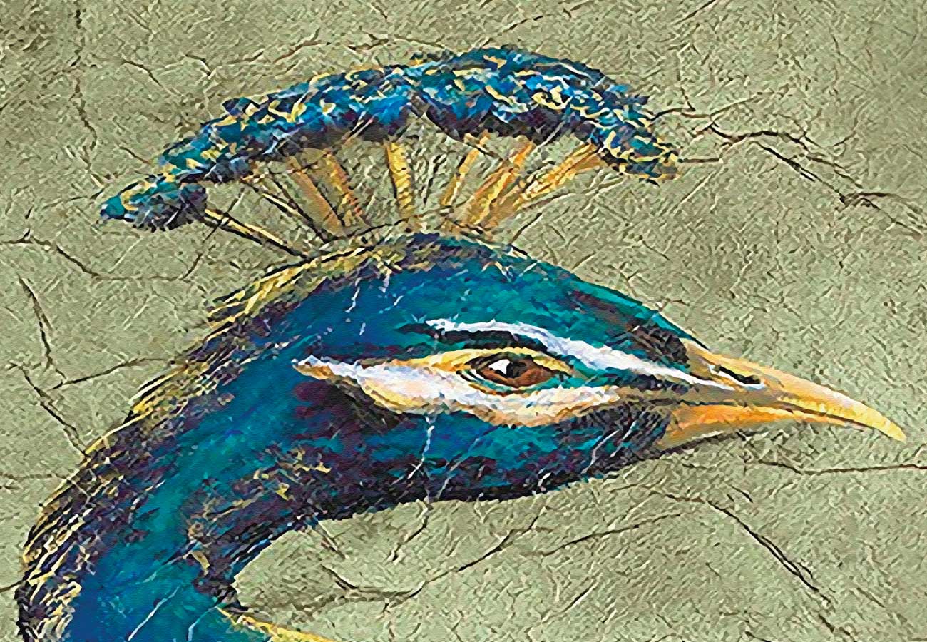 Papier peint Vintage Paon - papier peint sur mesure francais - muralconcept